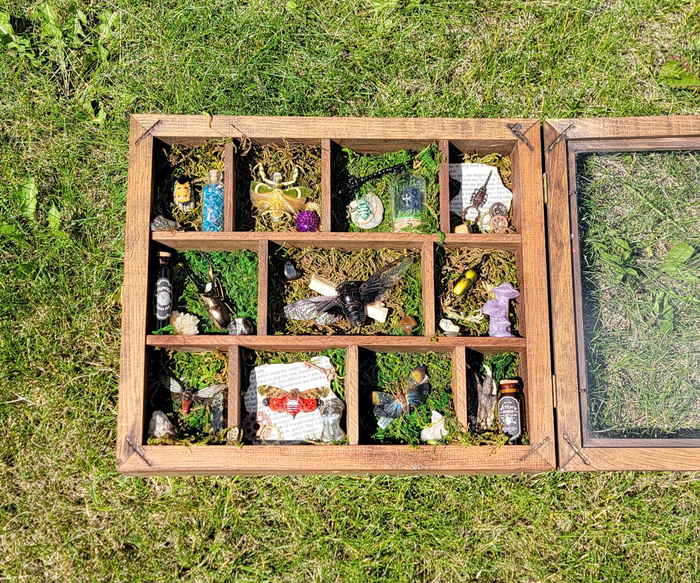 Medium Wood Oddities Box - 11 Slots