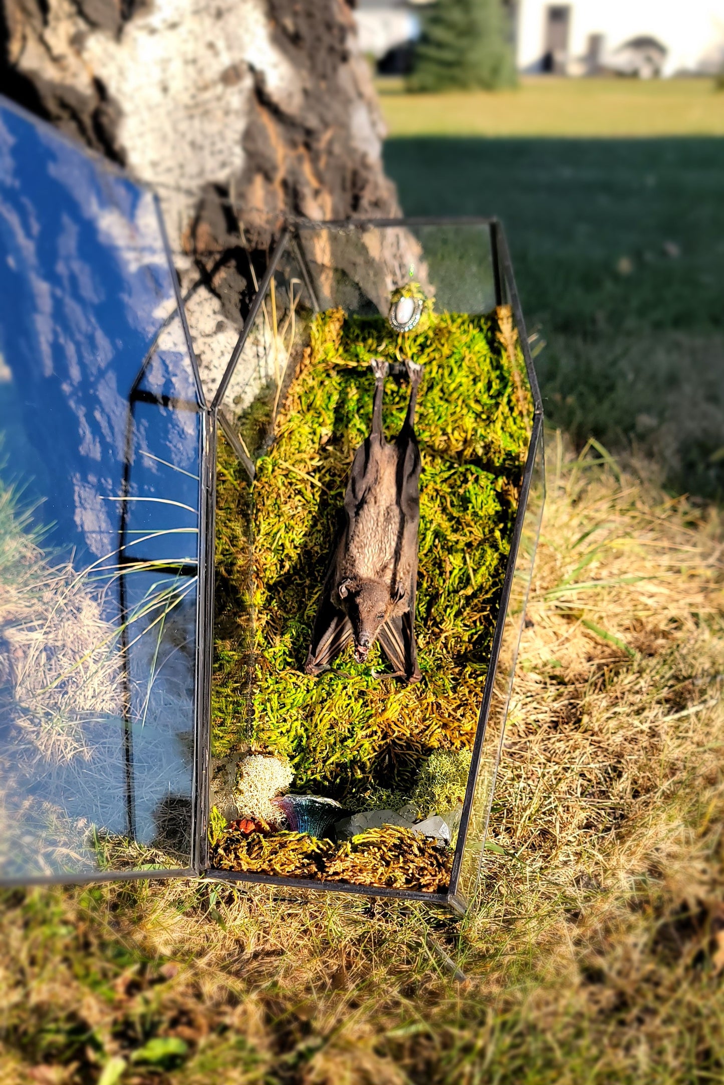 Giant Hanging Bat Coffin Case