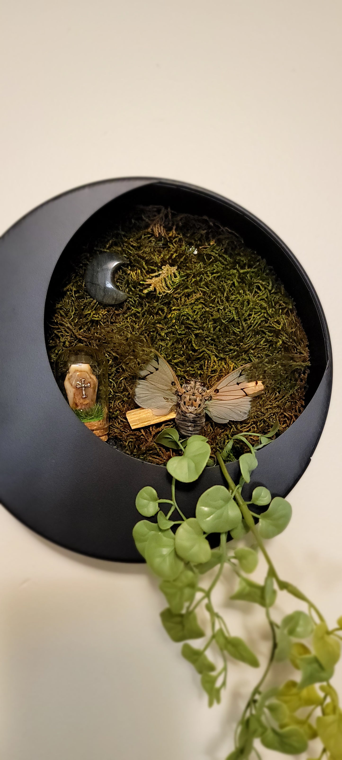 Ghost Cicada Moon Planter