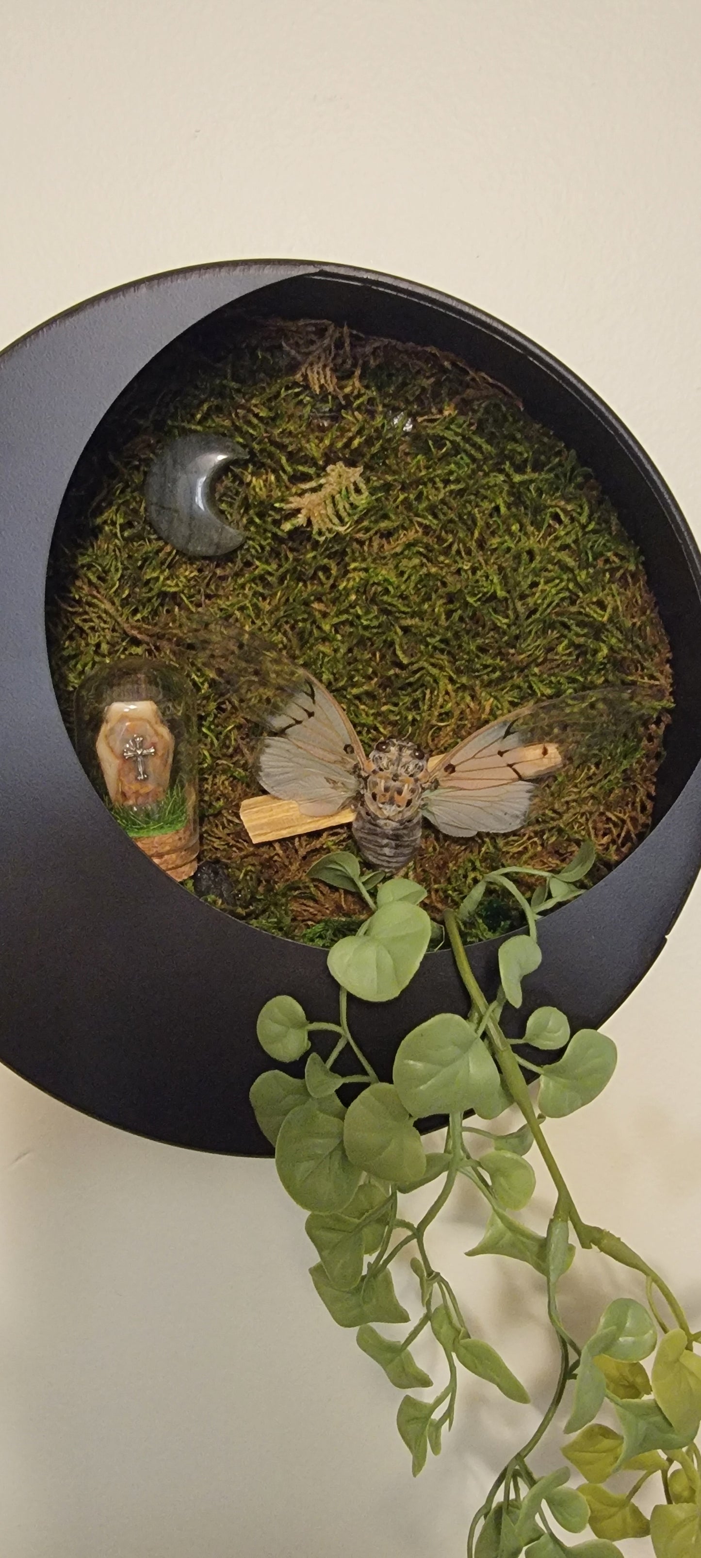 Ghost Cicada Moon Planter