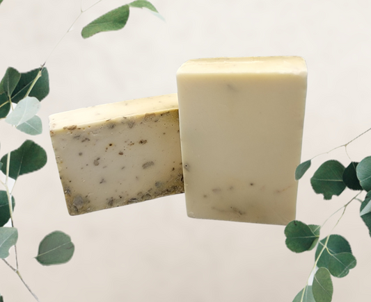 Eucalyptus Soap Bar